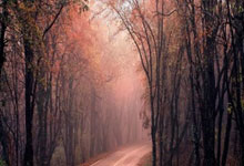 中外龙舟劲旅竞渡松花江2025-01-19.