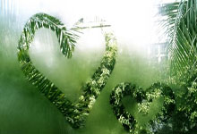 C7娱乐竞技：库里：我在球场上竭力维持最佳的竞技状态，这离不开在场下所付出的努力.