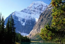 [CBA]季后赛4月29日：浙江VS上海 王哲林集锦.